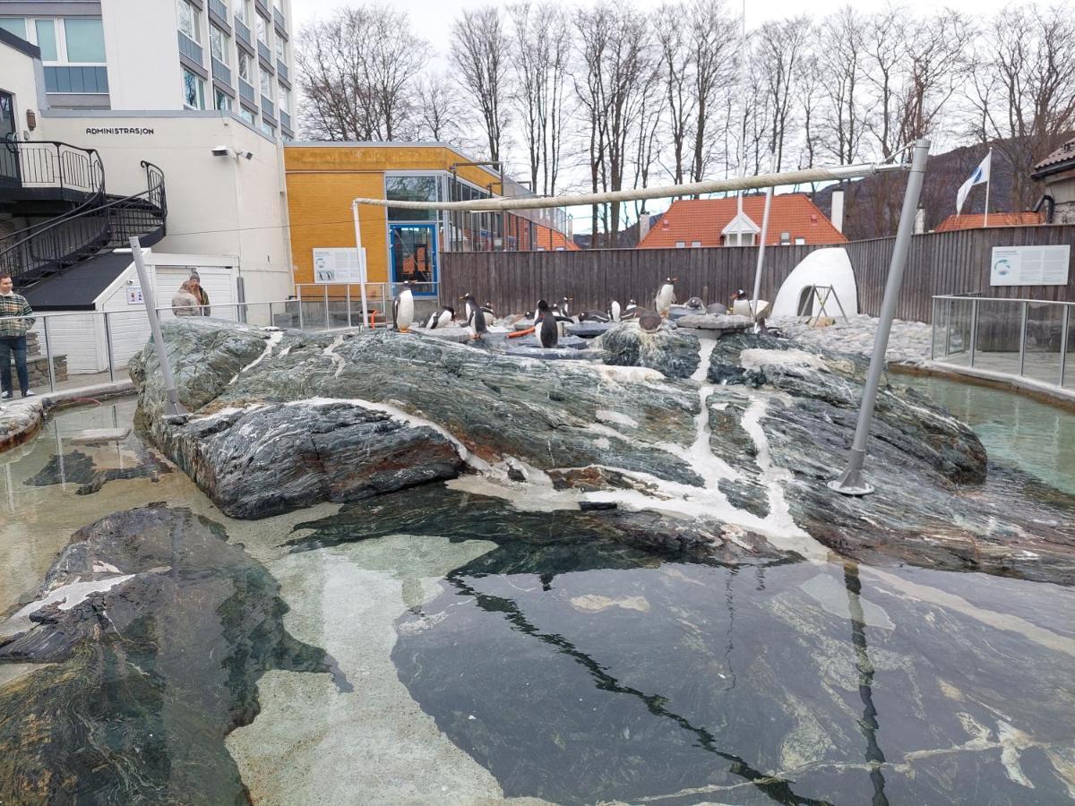 Bergen City Center Apartment Екстер'єр фото